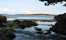 Rocky shores and marine ecosystems at the mouth of Bowker Creek where it enters Oak Bay