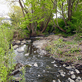 Bowker Creek through Browning Park in the District of Saanich