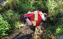 CRD staff conducting water quality monitoring in Bowker Creek
