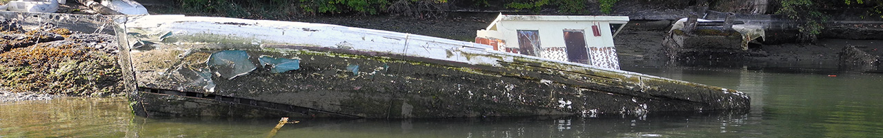 Abandoned Boats