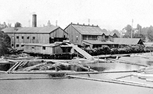 Capital Planing Mills, Rock Bay, Victoria 1920s