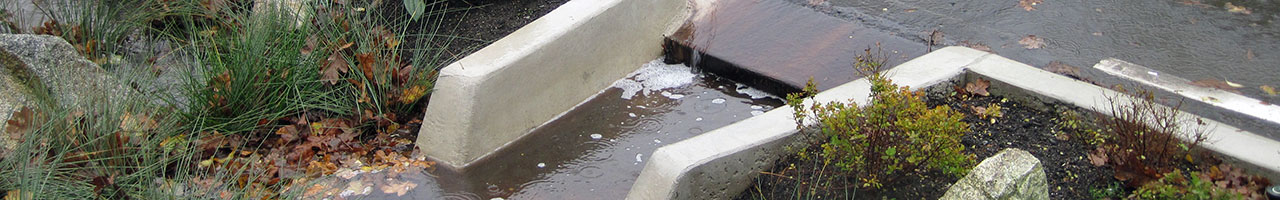 Preventing Stormwater Pollution