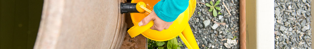 Managing Your Rainwater