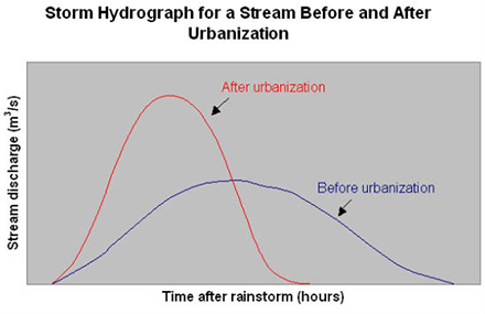 storm hydrograph