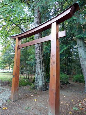 382-japanese-torii