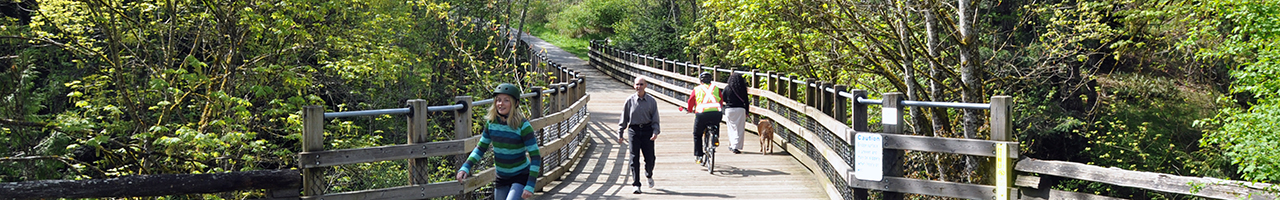 Regional Trestles Renewal, Trails Widening and Lighting Project