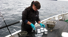 Marine Assessment and Research